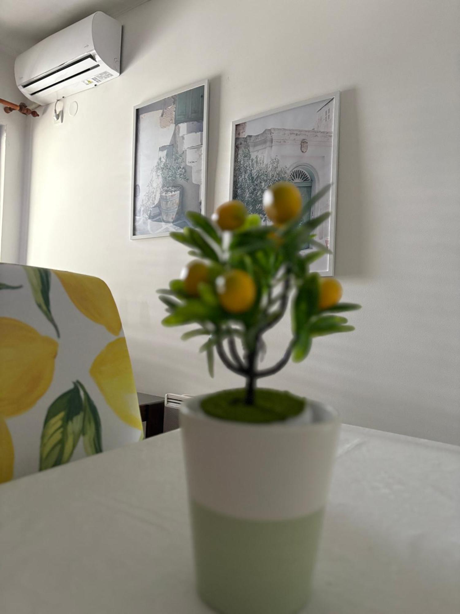 Apartments Herceg Novi Room photo
