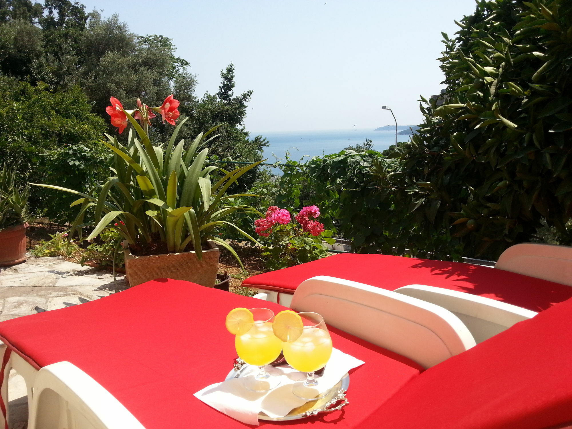 Apartments Herceg Novi Exterior photo